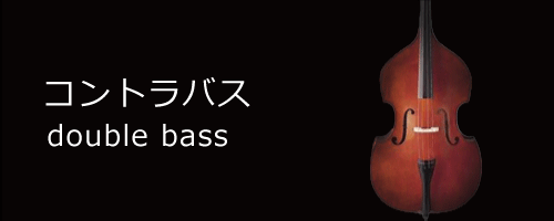 double bass／コントラバス